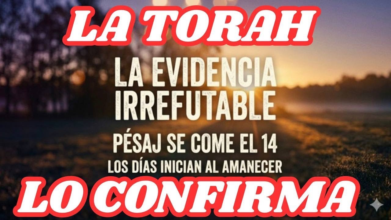 LA TRADICIÓN (ES ENGAÑOSA)