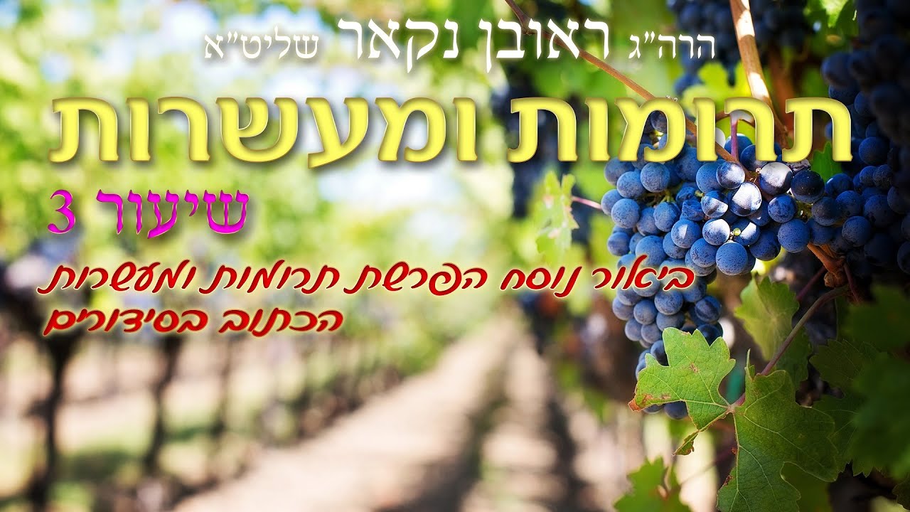 הגאון הרב ראובן נקאר שליט
