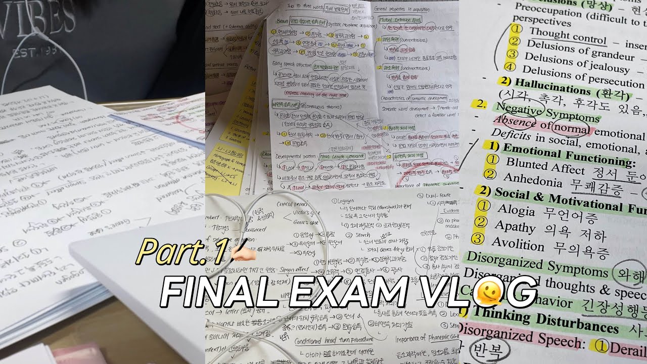 Study Vlog🔥죽지 않고 돌아온 6전공 사망년의 기말고사 브이로그 (1)📚📑
