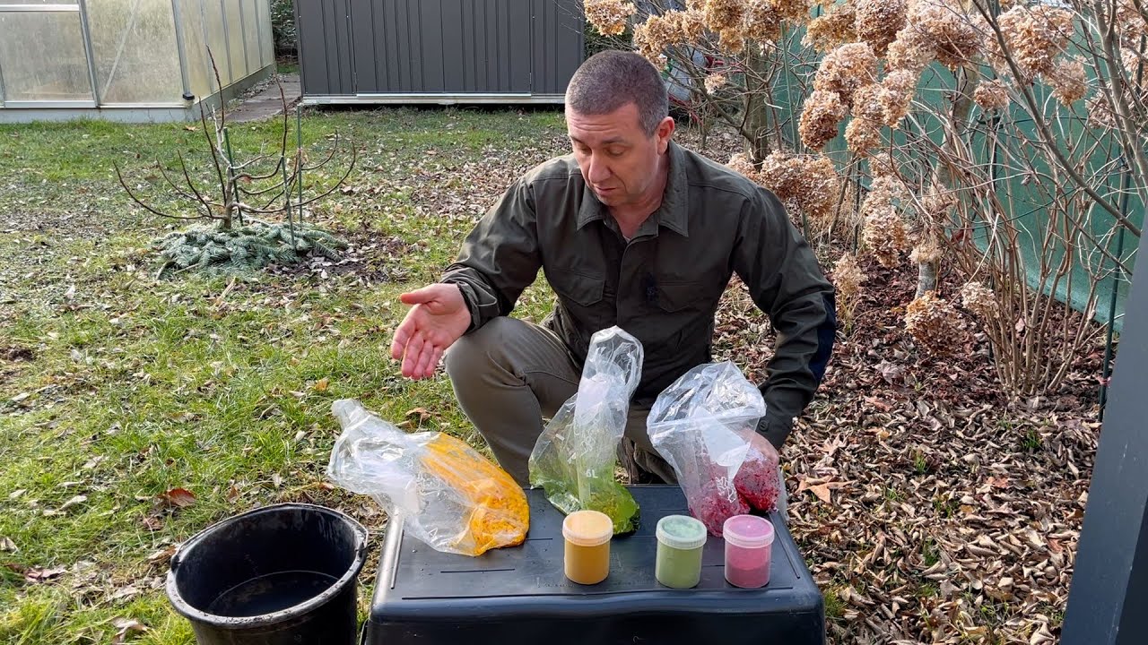 Angelmais natürlich einfärben..so geht´s #fishing #carpfishing #methodfeeder #methodfeederfishing 