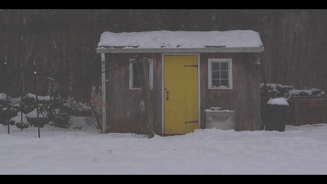 Snowday | Short Cinematic Film