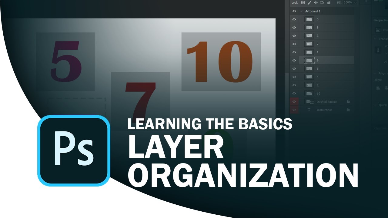 Layer Organization