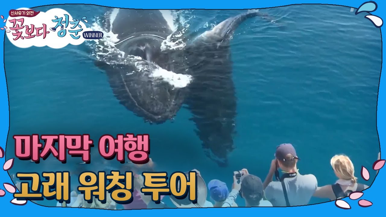 [#꽃보다청춘_위너] 흥 폭발! 고래 보러 가자 🐳 171128 EP4 #01