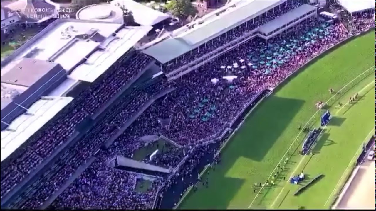 Winx’s farewell