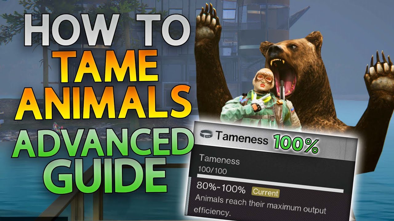 Когда-то человек: лучшее руководство по приручению животных