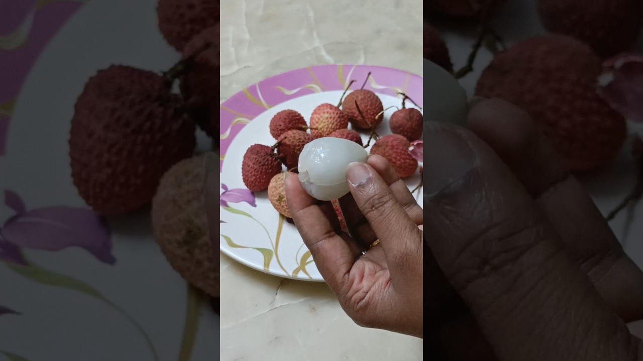 Have you tasted this fruit.. #litchi #fruit #shorts