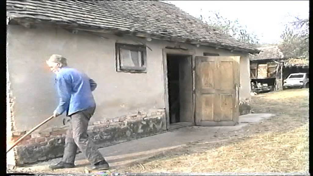 Gusle Jovanove-Obicaji Radjevine-Dobrivoje i Dobrila Pantelic