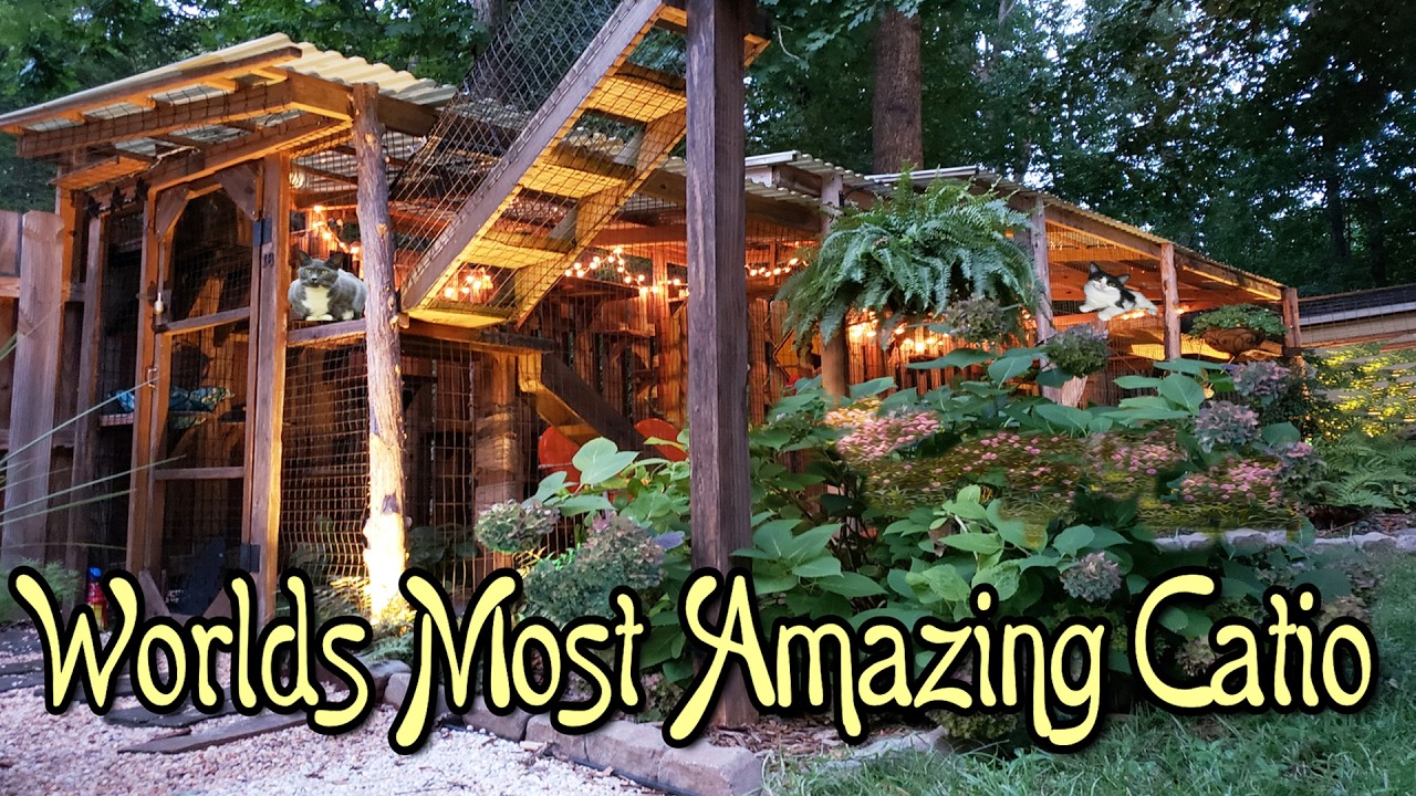 Triple Delight: A Stroll Through a Trio of CATIOS in One Garden Wonderland 😸