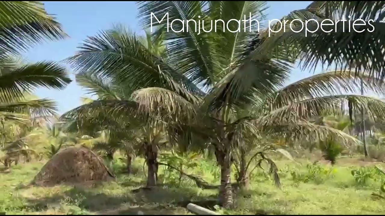 ID#615 10 Gunta🌴🌴 coconut farm house 🏠 1borewell 💦 with TC price.  35lac negotiable 9845468777