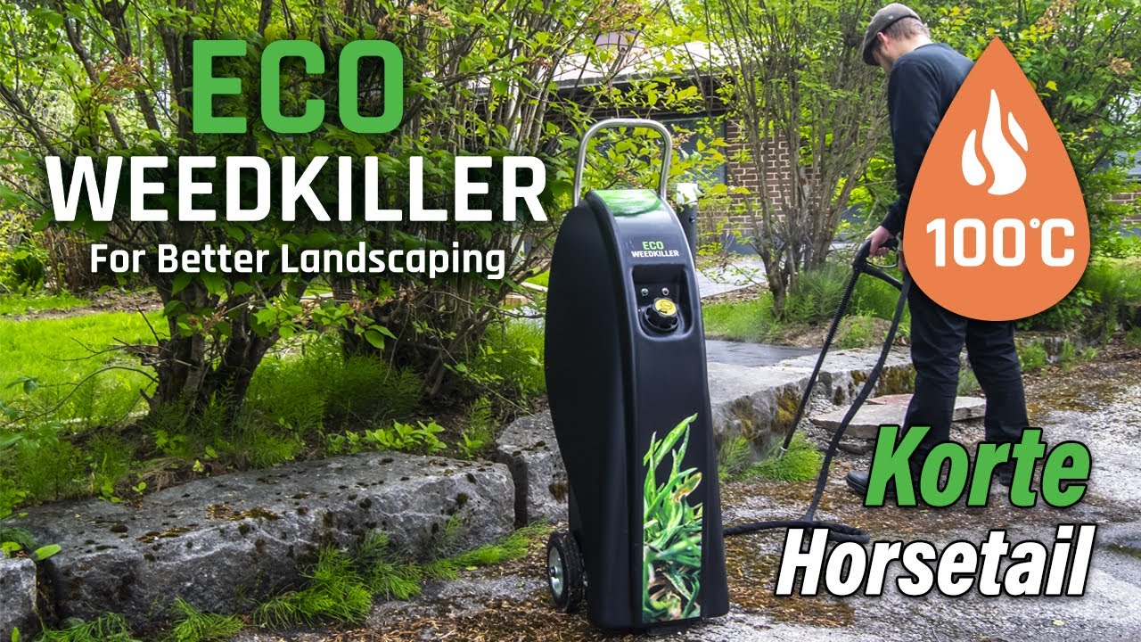 Kortteiden torjunta 100ºC vedellä | Horsetail control with 100ºC water | Eco Weedkiller Garden
