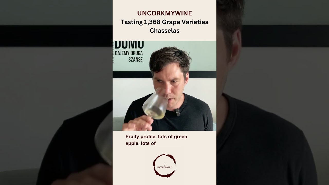 A Swiss specialty: Chasselas - Tasting 1,368 Grape Varieties
