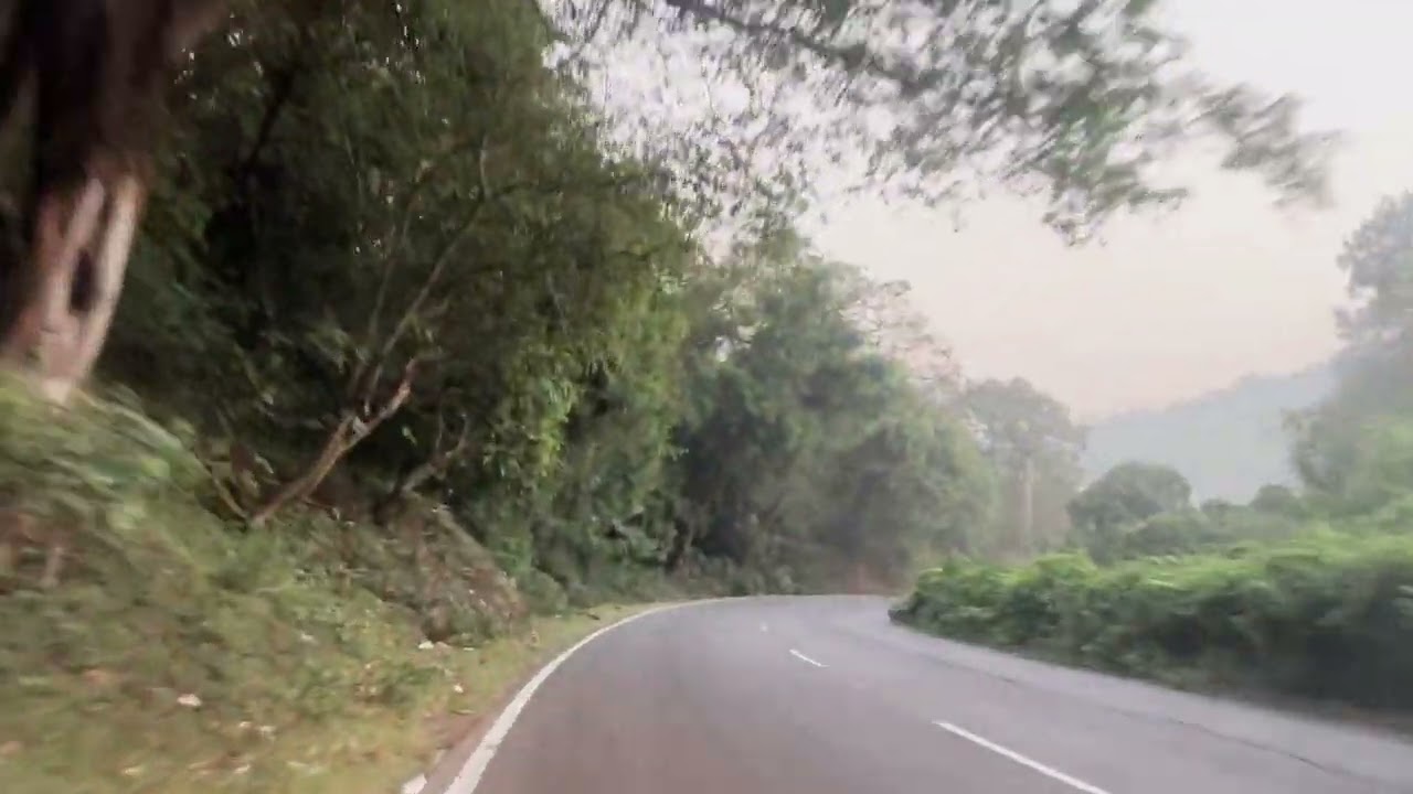 dhimpam.. to.. hasanur.. road.. Sathyamangalam.. tiger.. reserve..forest..area..🐅🐅🐅