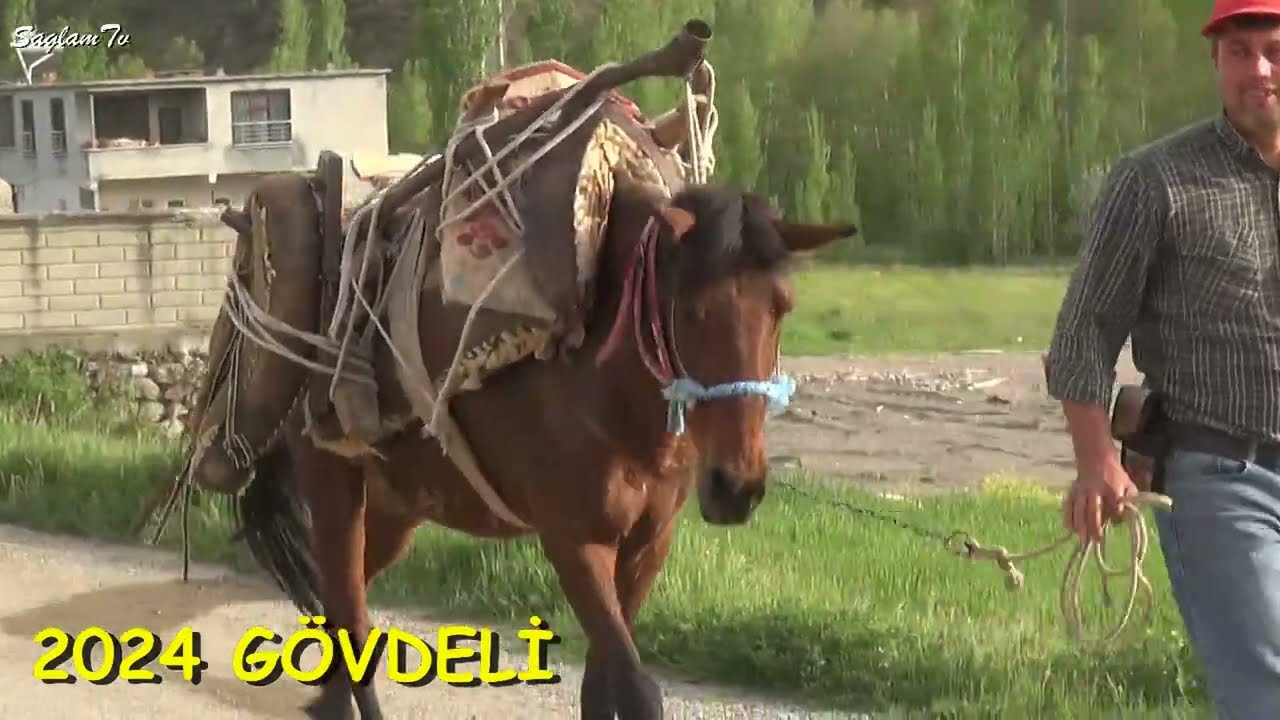 GÖVDELİ MAHALLESİNDEN RASTLADIKLARIMIZ