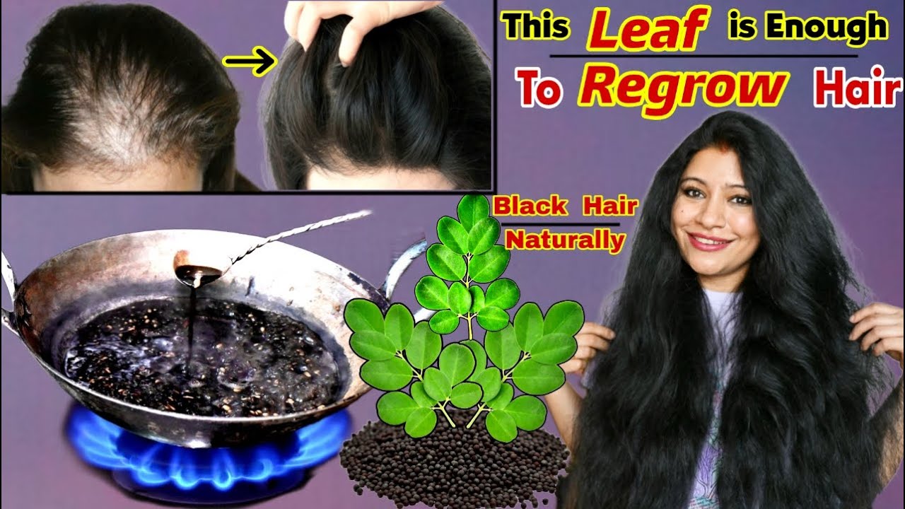 This Leaf Gel Regrow Hair & Makes Hair Black Naturally:Use These Leaves To Get 10×Thick & Black Hair