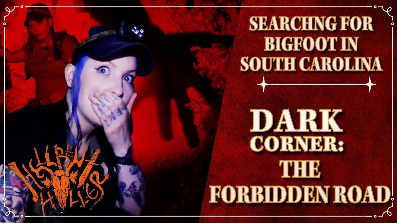 ARE THEY IN THE TREES? - Searching for Bigfoot in South Carolina - Dark Corner: The Forbidden Road