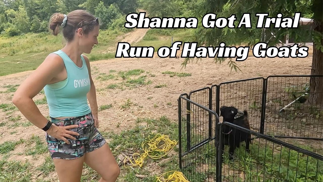 Project Planning, Goat Sitting & Septic Installation