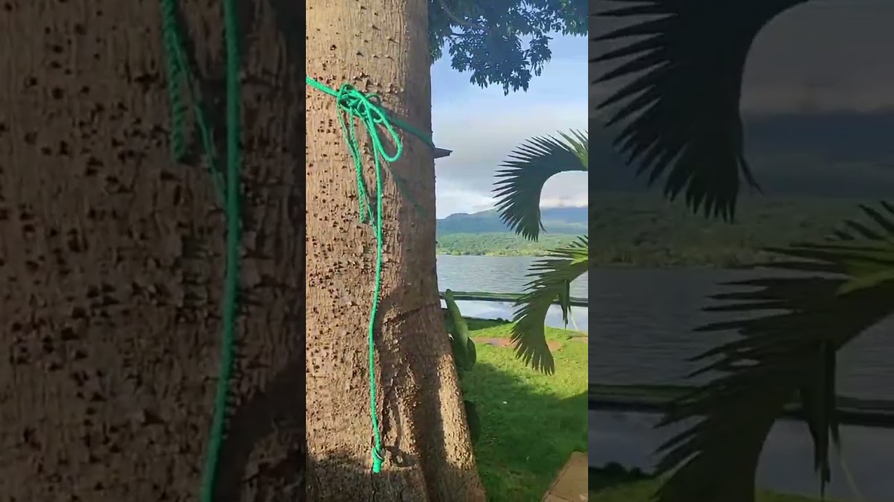Isleta Piel Dorada Granada Nicaragua 🇳🇮❤️😊
