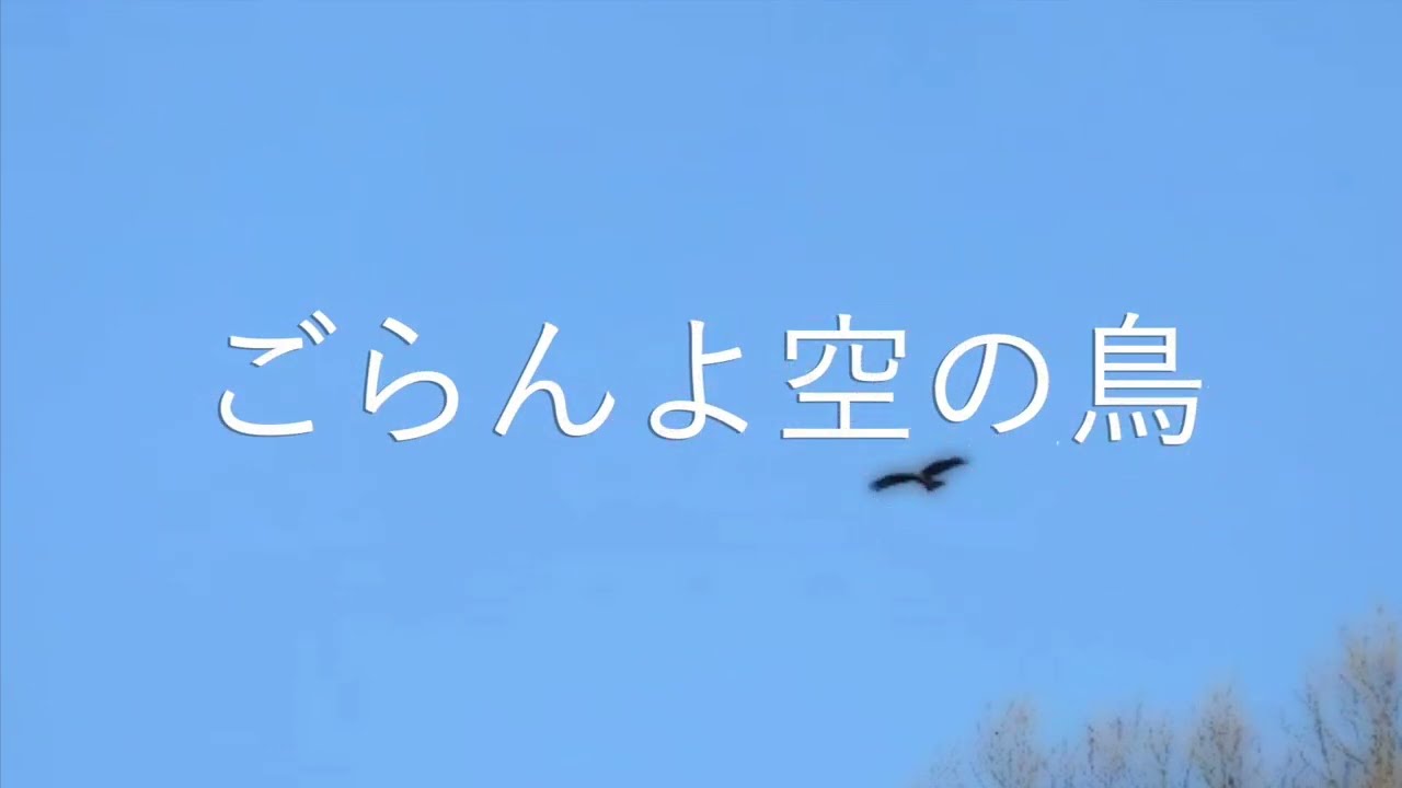 ごらんよ空の鳥