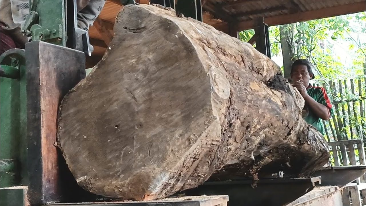 Splitting jumbo sized short logs of old wood is very scary 