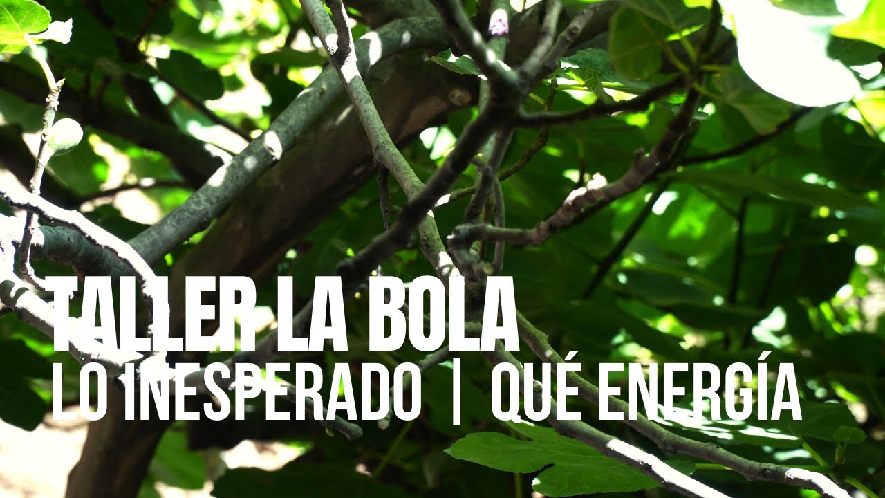 Taller La Bola - Lo Inesperado | Qué Energía - Sesiones Al Parque (Episodio 1)