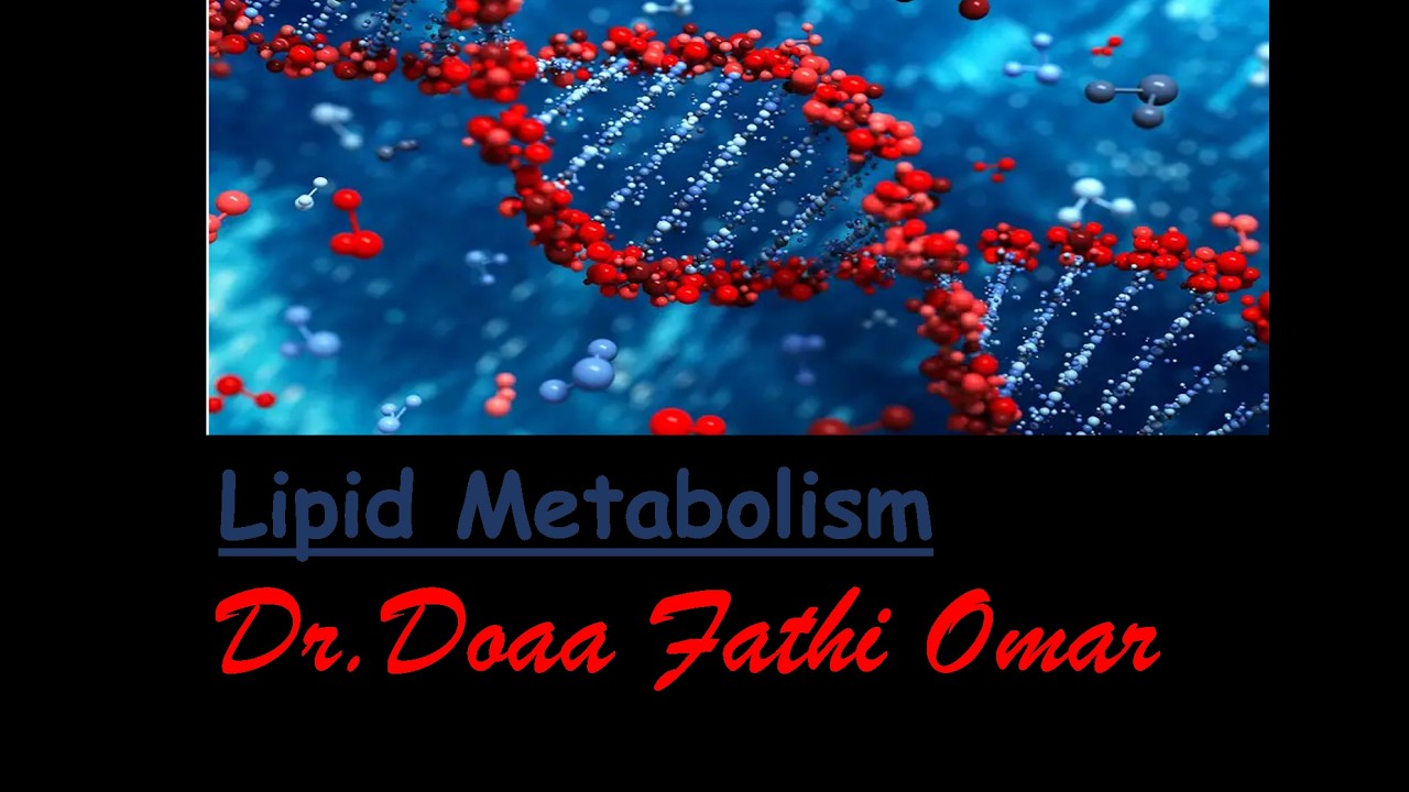 Lipid metabolism