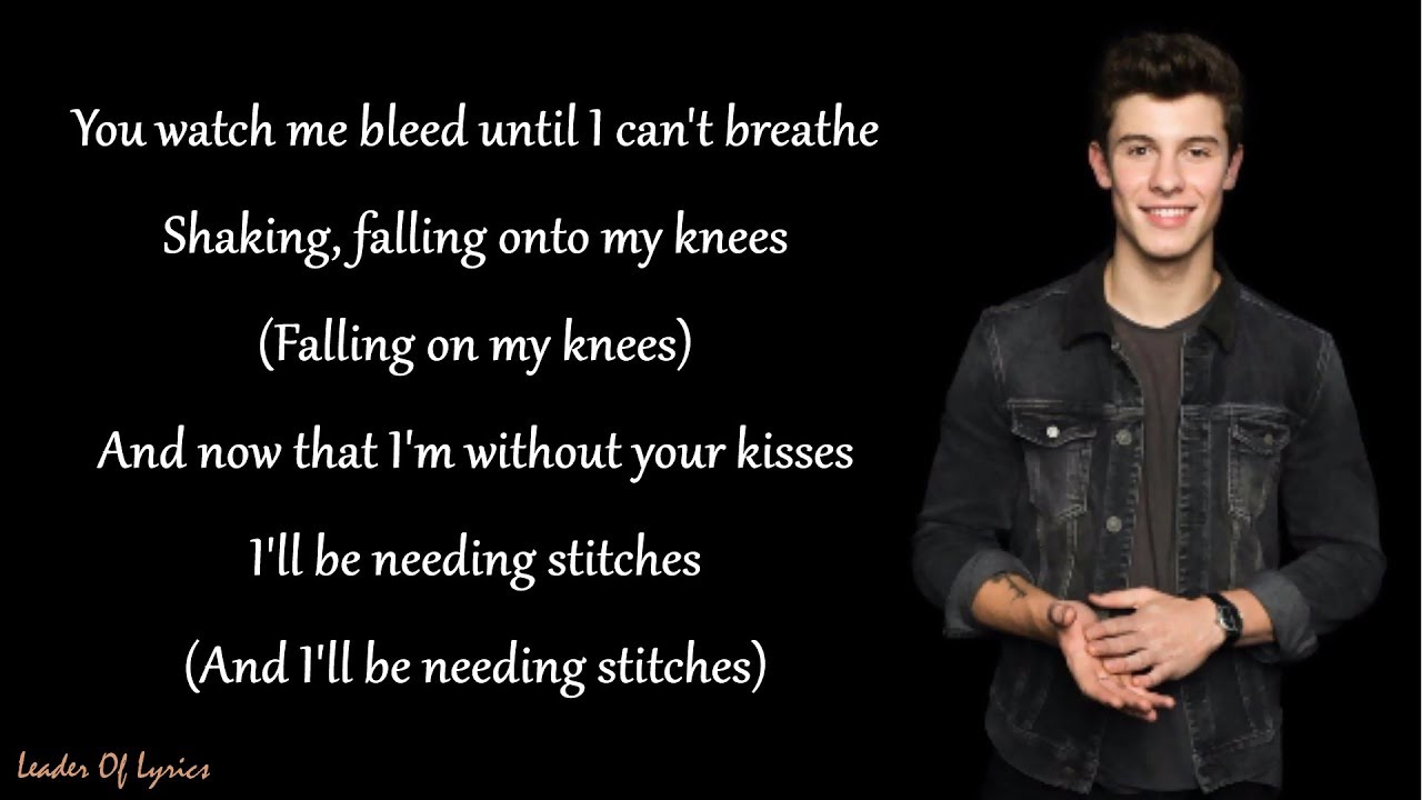 Shawn Mendes - STITCHES (Lyrics)