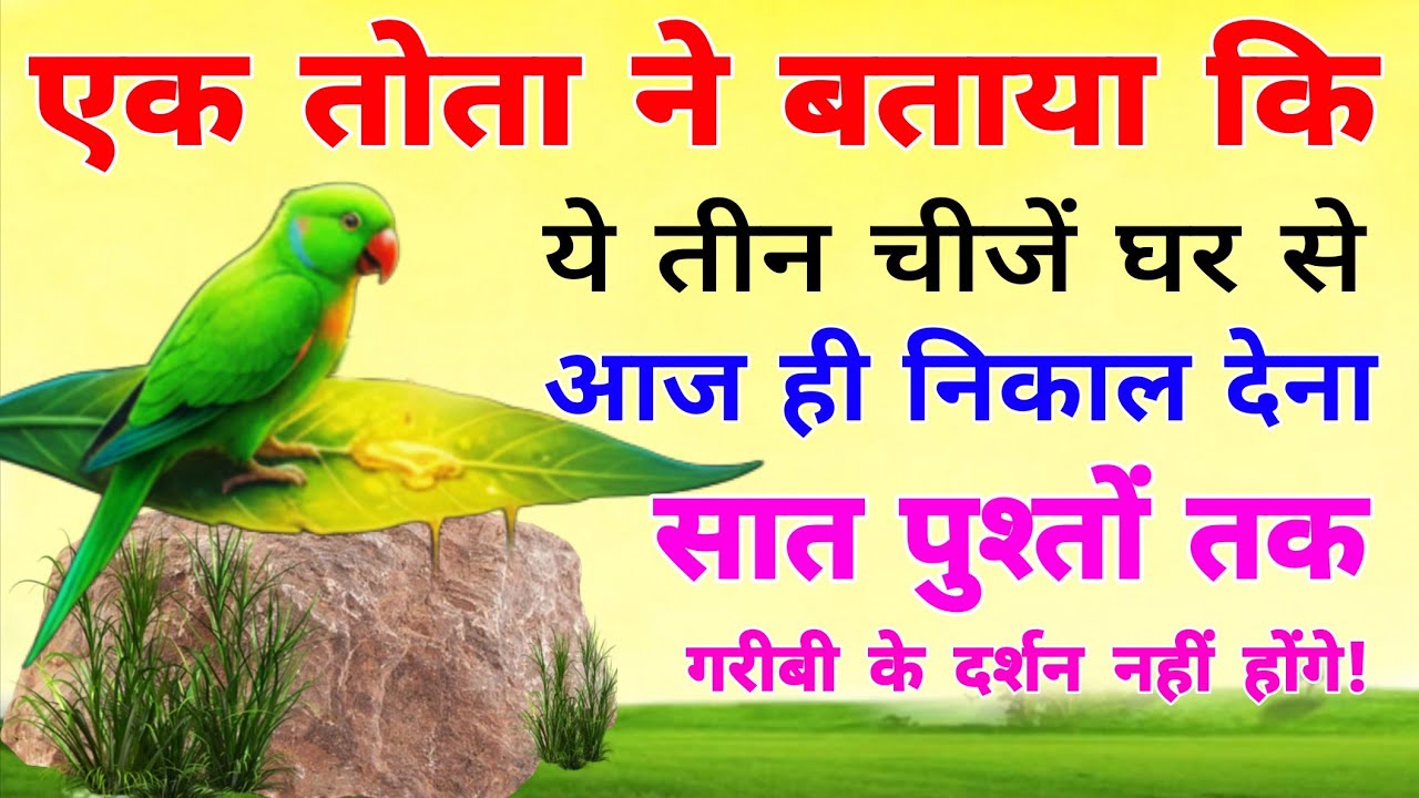 एक तोता ने बताया कि ये तीन चीजें घर से आज ही निकाल देना, सात पुश्तों तक गरीबी के दर्शन नहीं होंगे!