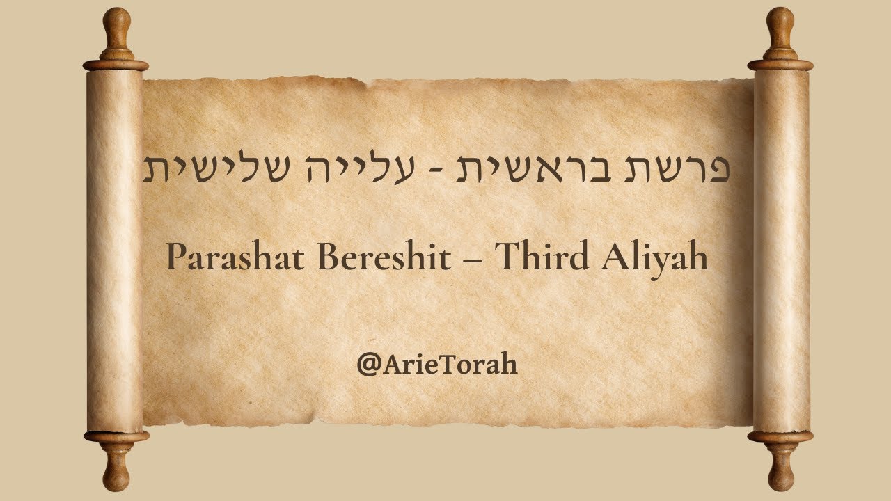 פרשת בראשית - עלייה שלישית | Parashat Bereshit - Third Aliyah