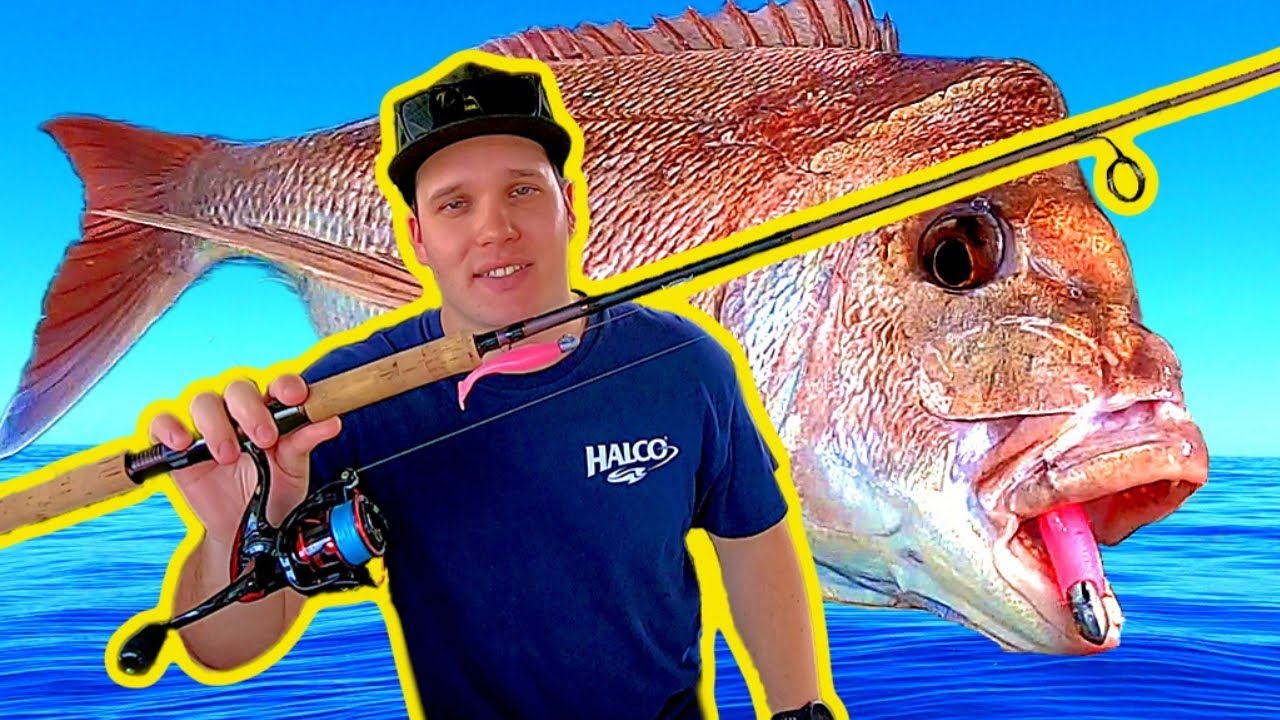 HOW TO CATCH SNAPPER ON SOFT PLASTICS (made simple!)