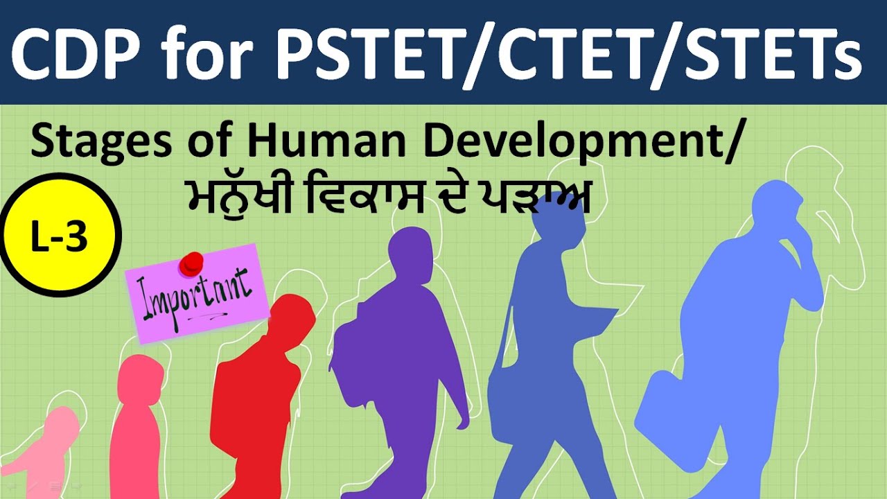 Stages of Development for PSTET/CTET/STETs| Child Development and Pedagogy for PSTET| L-3