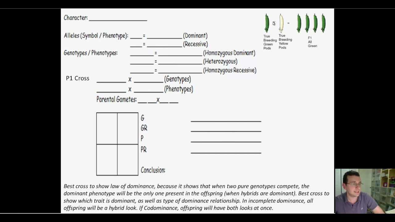 Mendelian Genetics (Part 7): True Breeding & Parental Crosses
