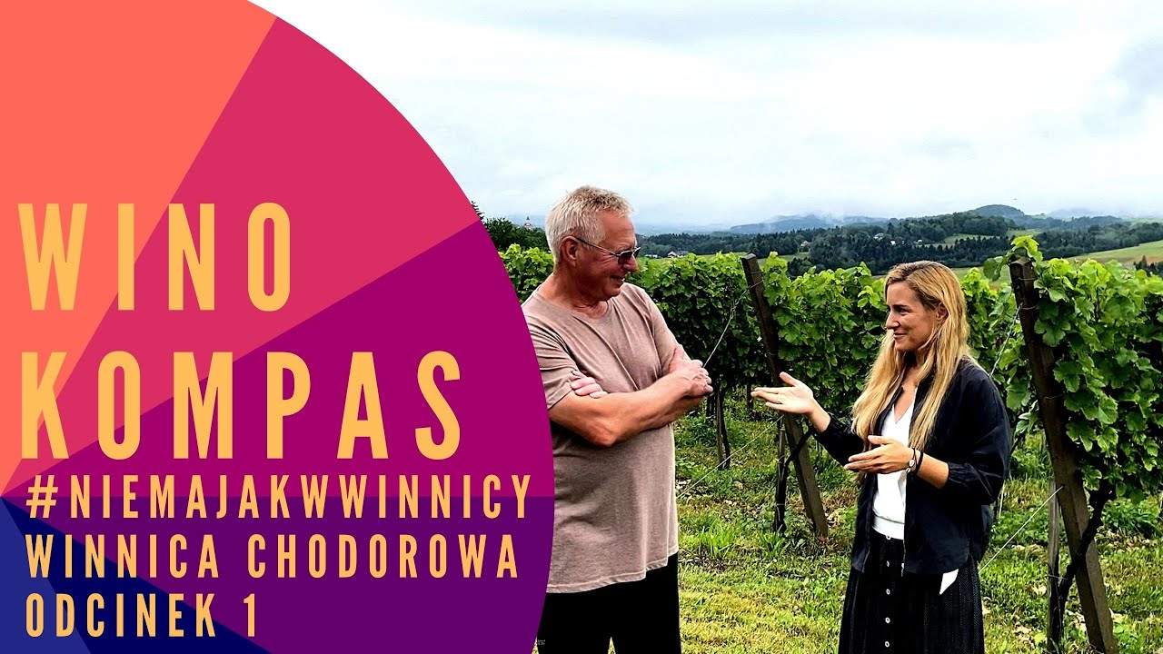 #NIEMAJAKWWINNICY - WINNICA CHODOROWA - ODCINEK 1
