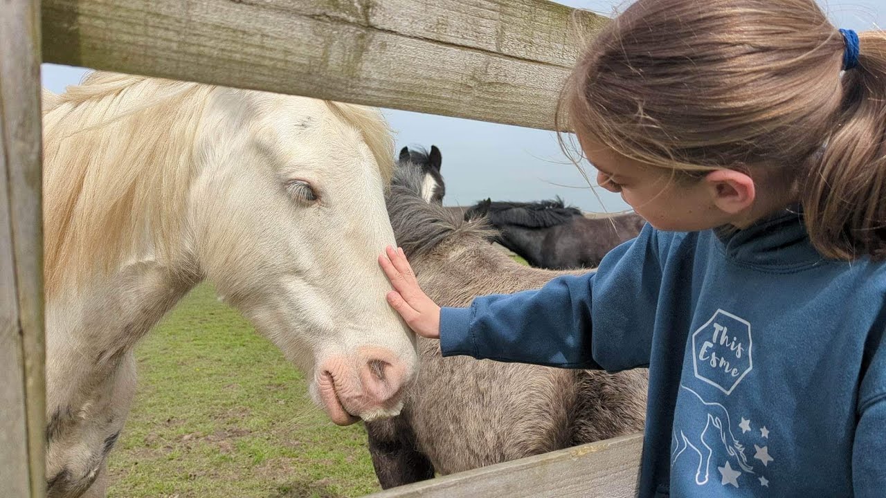 Come to Bransby Rest Home for Horses with Sophie Brown 😀