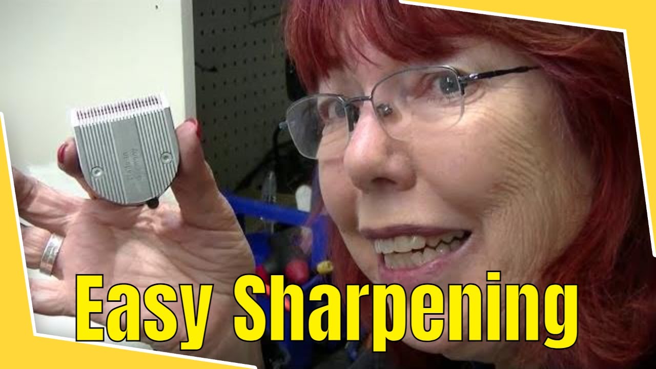 Easy How to Sharpen 5-n-1 Wahl Adjustable Blades by Hand | Bonika Shears