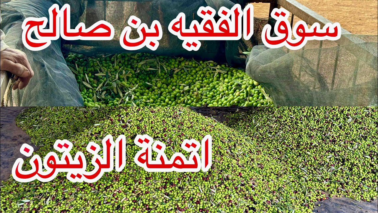 سوق الزيتون بالفقيه بن صالح الخير موجود والشاري مكاينش والتمن مناسب 