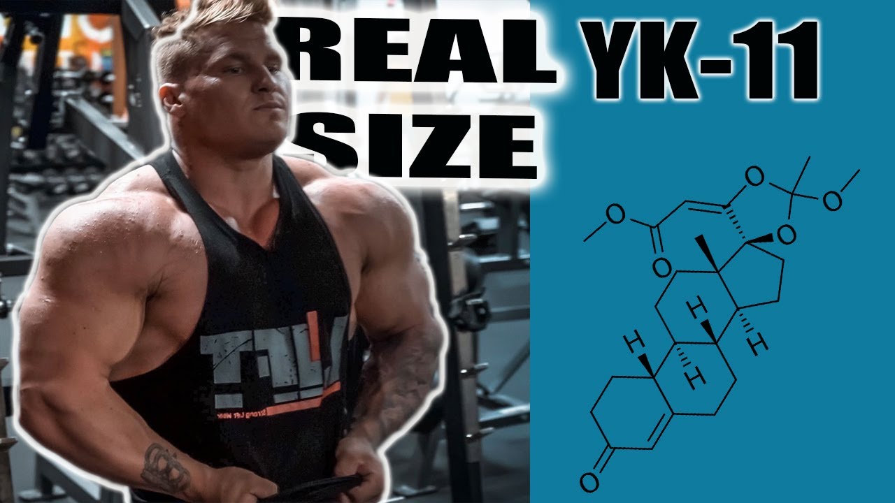 SARM YK11 Explained | The Most Important Sarm For Size ?!?