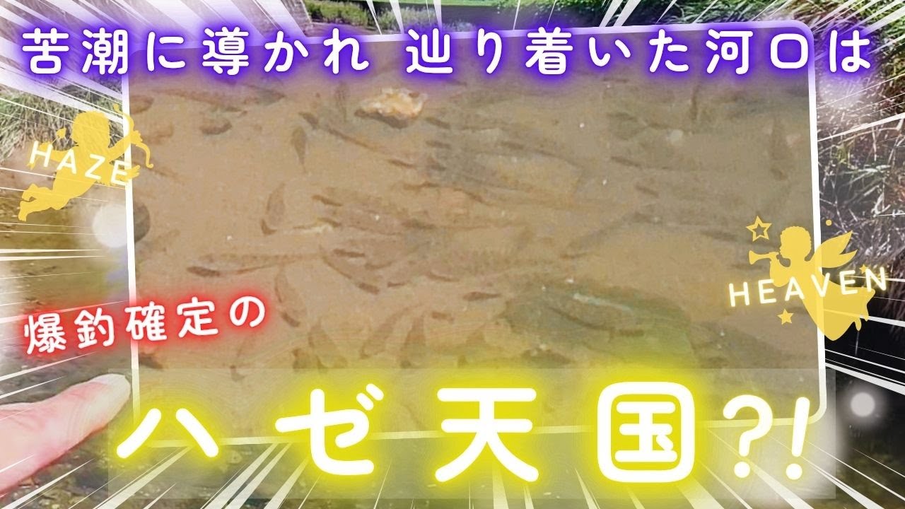 【ハゼ釣り】苦潮は天国への入り口？！ハゼ釣りこそ至高の釣り