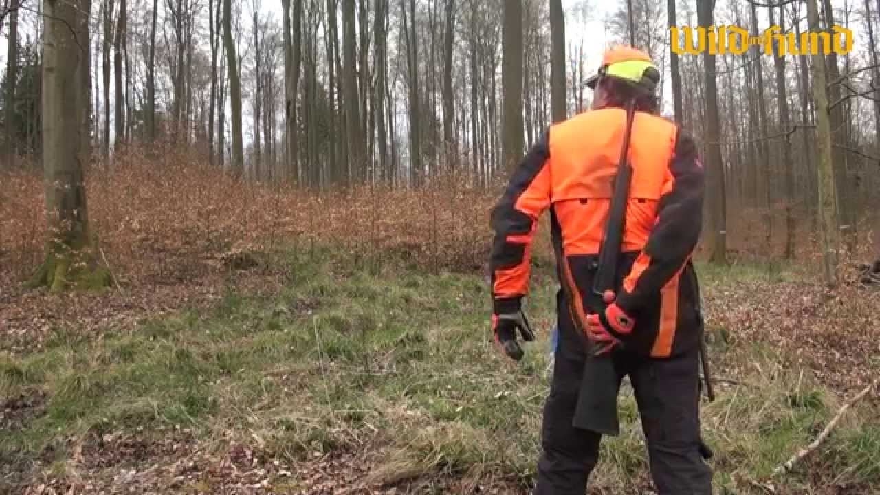 Fangschusstraining f&uuml;r Hundef&uuml;hrer (WILD UND HUND aktiv)