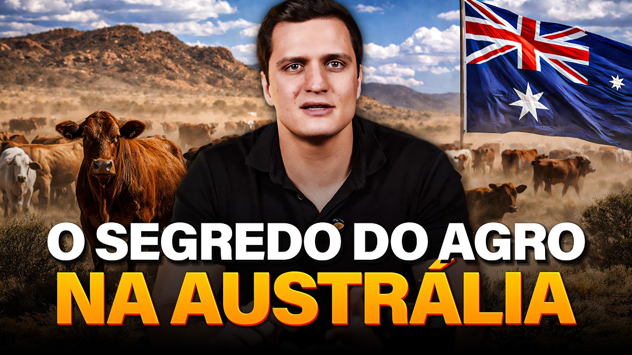 PECUÁRIA EXTENSIVA: O QUE O AGRO BRASILEIRO PODE COPIAR DA AUSTRÁLIA
