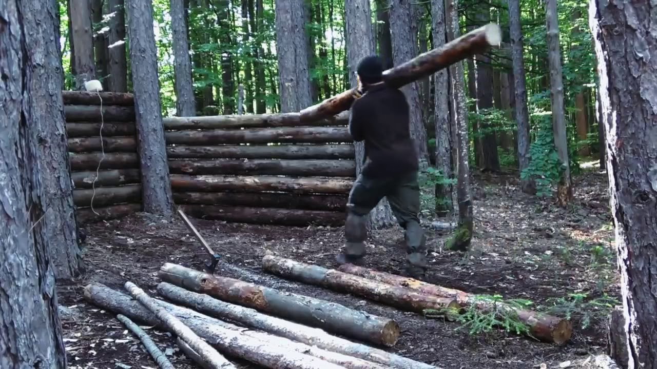 Super shelter building in the woods at 1200 meters height with my dog Axe,saw,cooking  long vesion