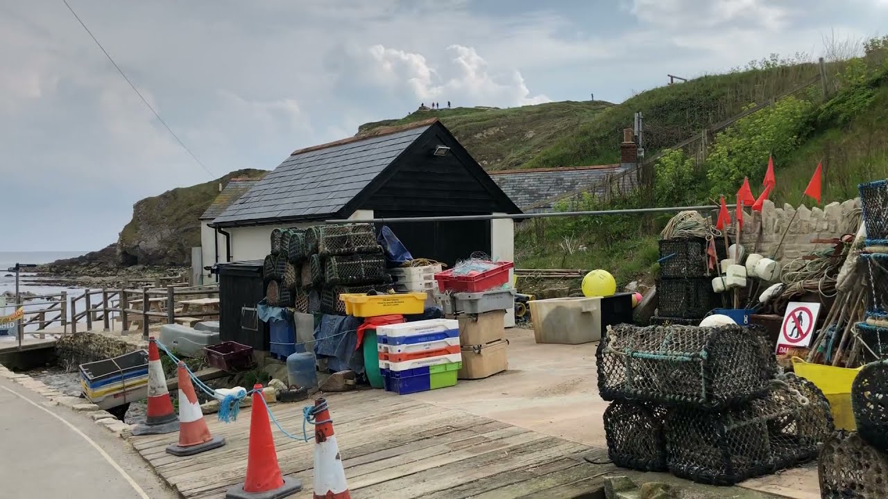 Путешествуем по Англии: выходные в Dorset - Lulworth и Monkey World