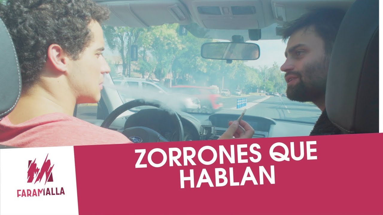 ZORRONES QUE HABLAN
