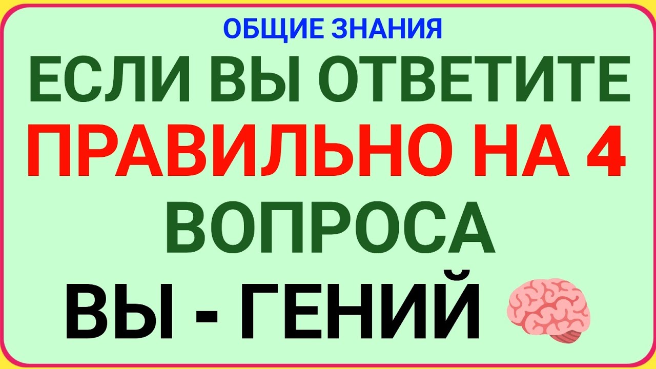 ЕСЛИ ВЫ ОТВЕТИТЕ ПРАВИЛЬНО НА 4 ВОПРОСА — ВЫ НАСТОЯЩИЙ ГЕНИЙ! 🧠🔥