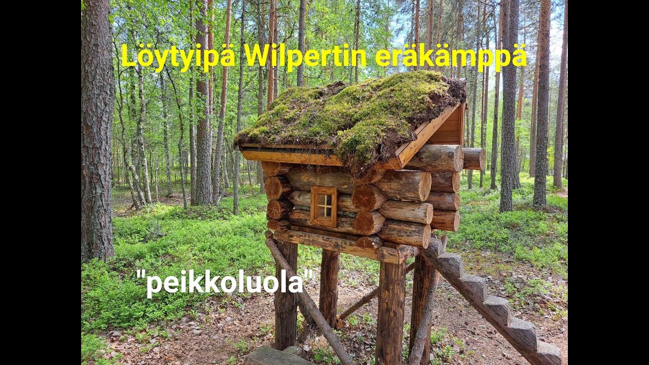 Erämainen Neva-Lyly ja Wilpertti Alkkianvuoren läheisyydessä @KorpiTiimi