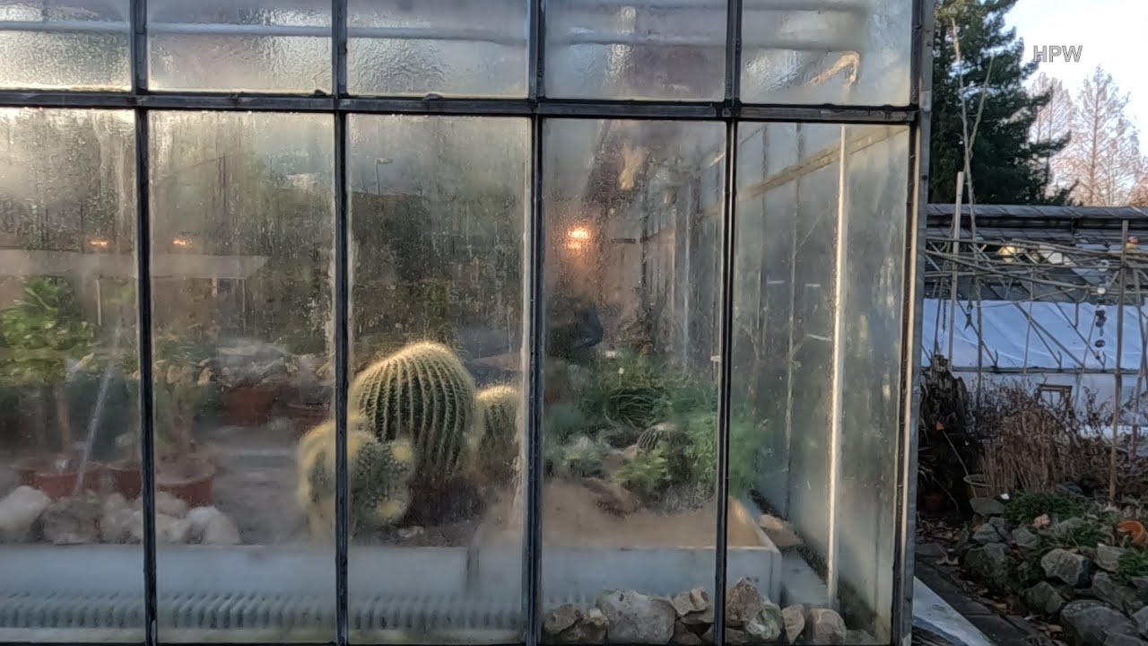 Darmstadt 2023 (Botanischer Garten)