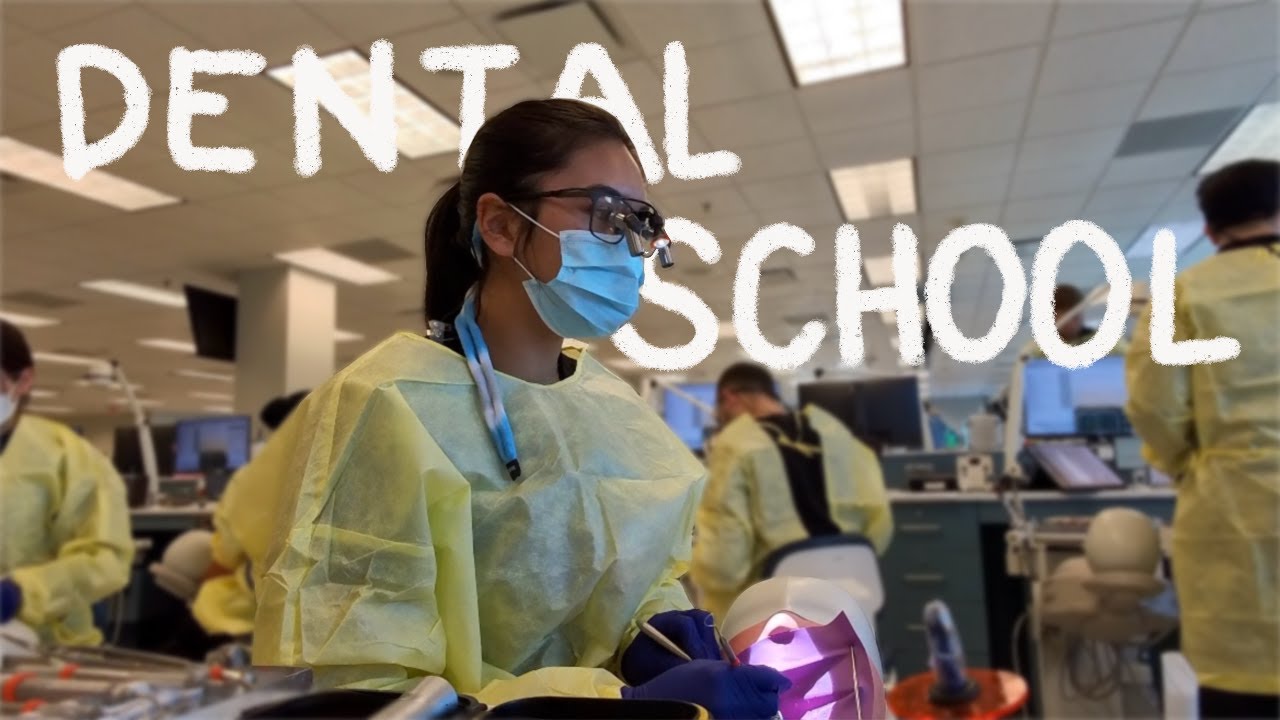 A day in dental school