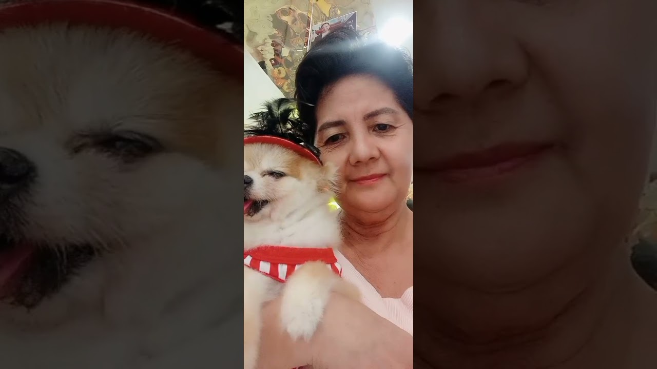 Gala Gala kami sa lucky chinatown with Goldie 🐶🐕@nellysblogsofficial3168
