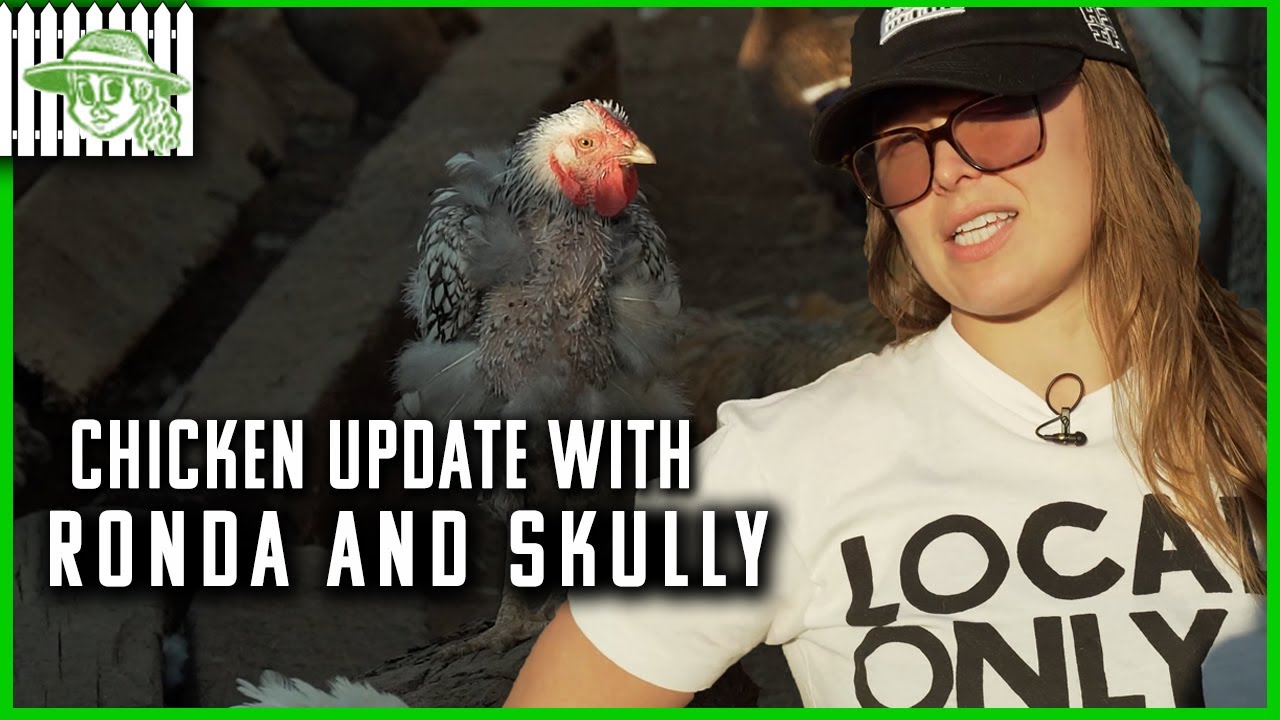 Taking Care of My Chickens and Ducks | Browsey Acres