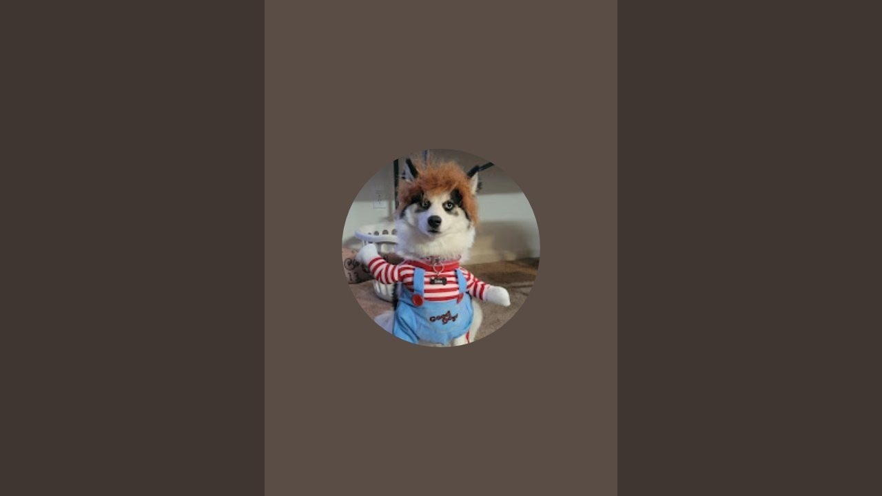 Luna the Puppy is live!