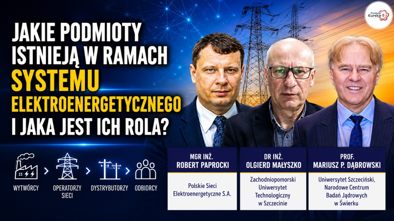 Jakie podmioty istnieją w ramach systemu elektroenergetycznego i jaka jest ich rola?